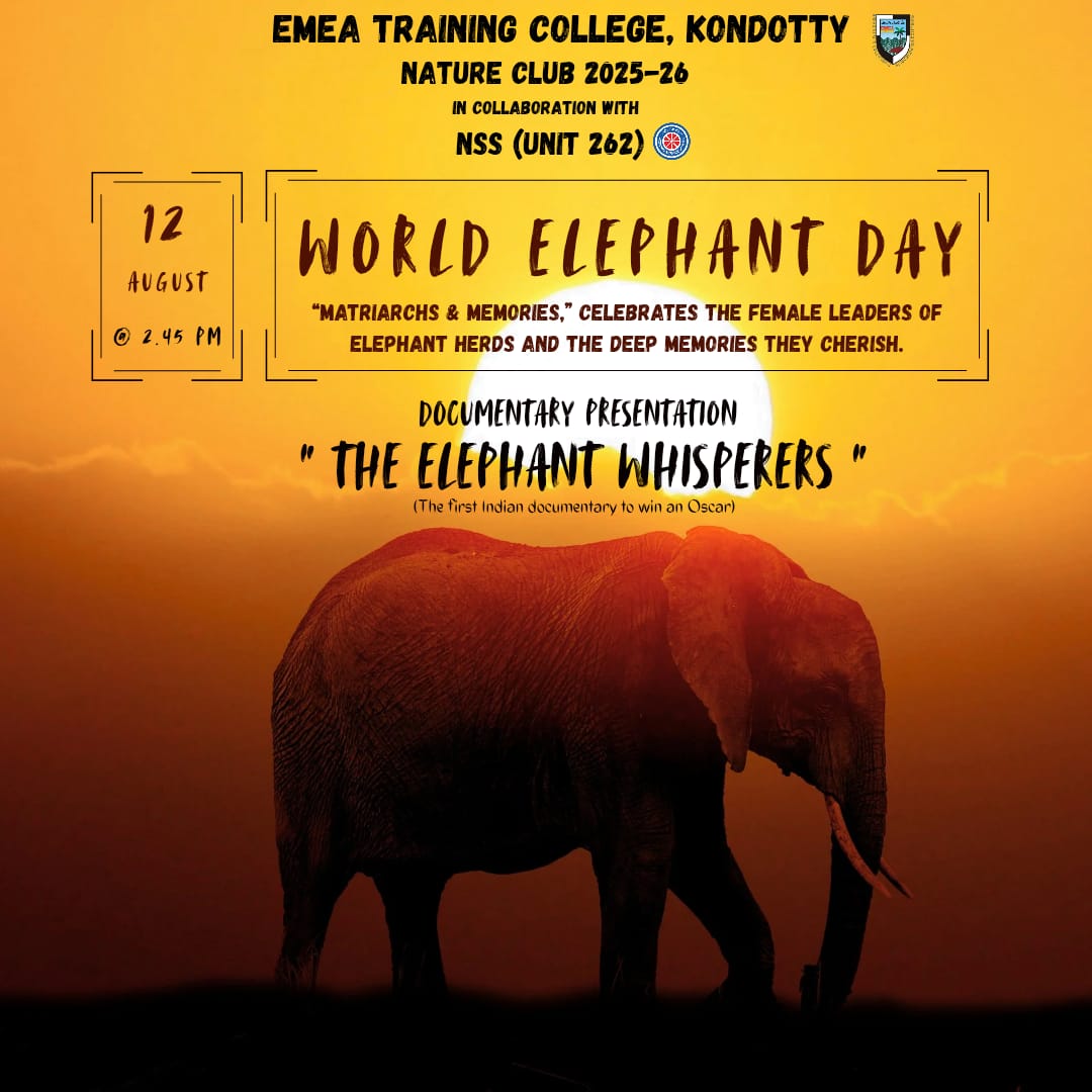 World Elephant Day